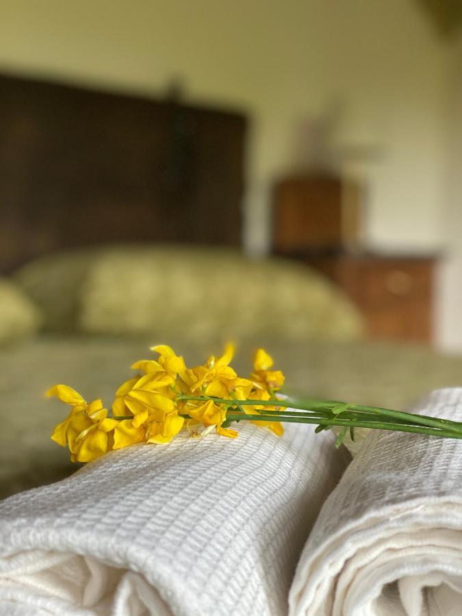 Saliceto Cascina Boschetto Bed & Breakfast エクステリア 写真