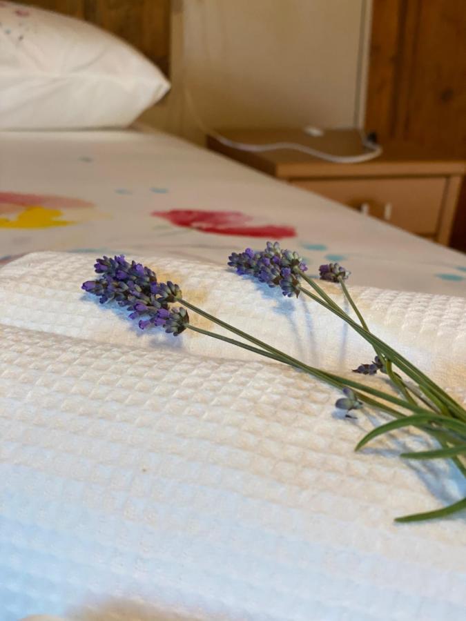 Saliceto Cascina Boschetto Bed & Breakfast エクステリア 写真