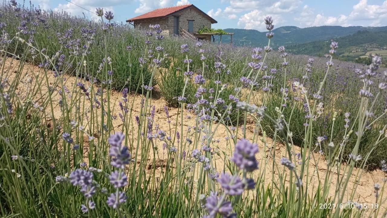 Saliceto Cascina Boschetto Bed & Breakfast エクステリア 写真