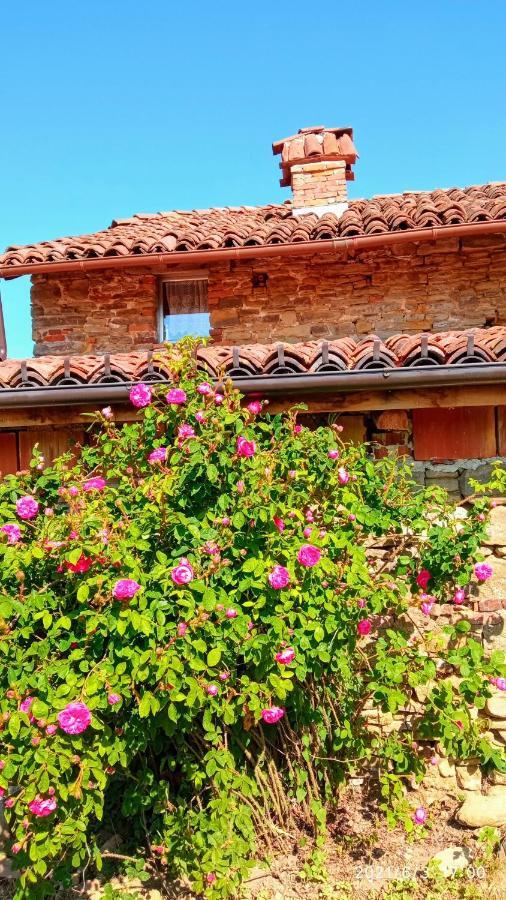 Saliceto Cascina Boschetto Bed & Breakfast エクステリア 写真