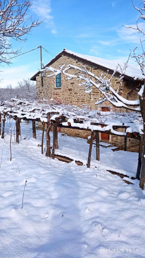 Saliceto Cascina Boschetto Bed & Breakfast エクステリア 写真