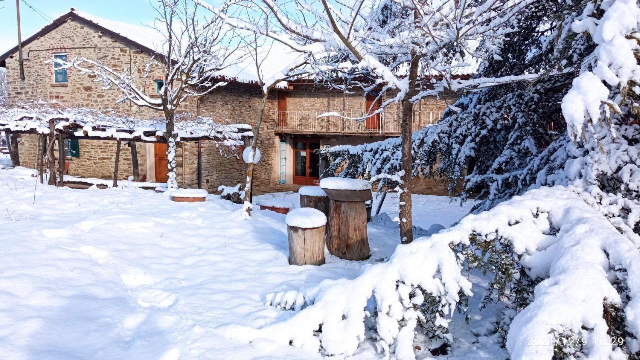 Saliceto Cascina Boschetto Bed & Breakfast エクステリア 写真