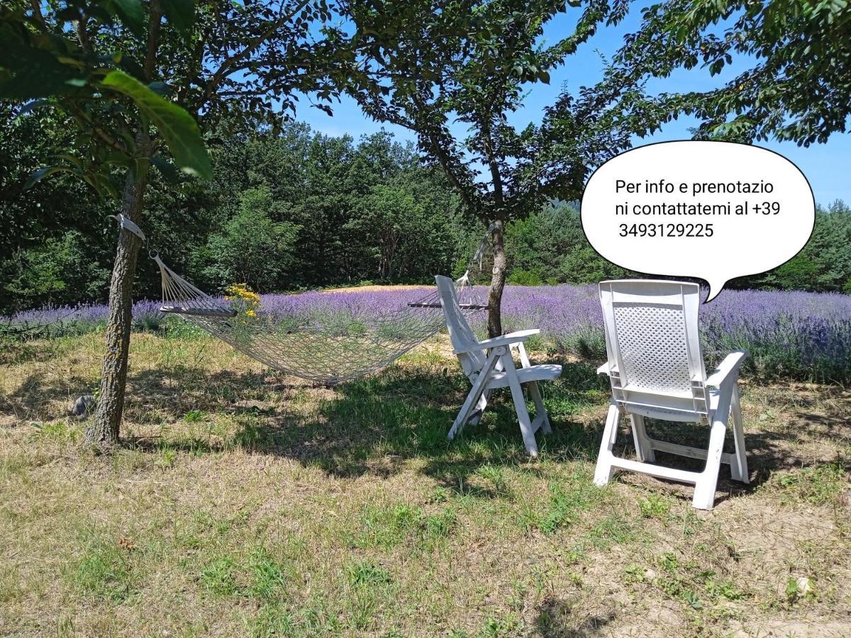 Saliceto Cascina Boschetto Bed & Breakfast エクステリア 写真